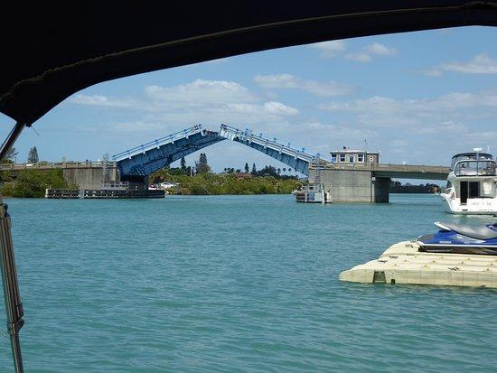 Siesta Key Marina